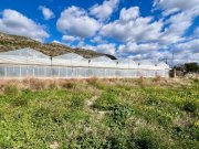 Koutsouras Südkreta, Koutsouras: Baugrundstück mit Meerblick zu verkaufen Grundstück kaufen